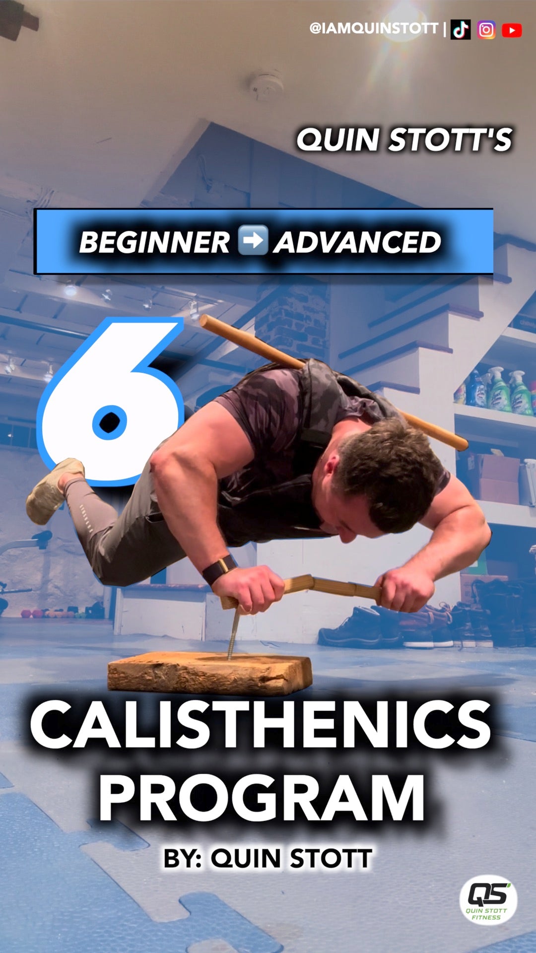 6 DAY 6 WEEK CALISTHENICS PROGRAM